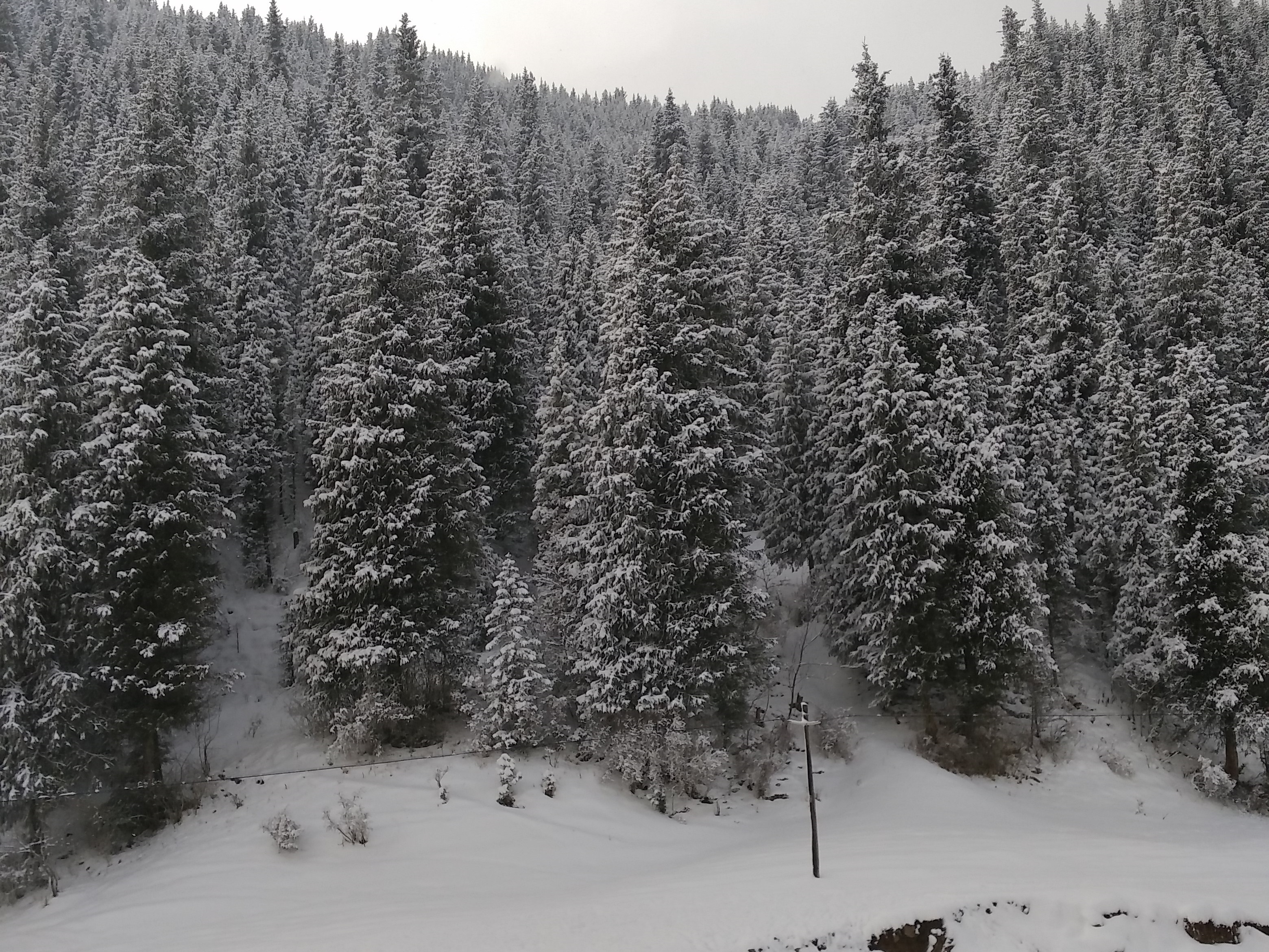 新疆伊宁74团边防无线监控传输成功案例